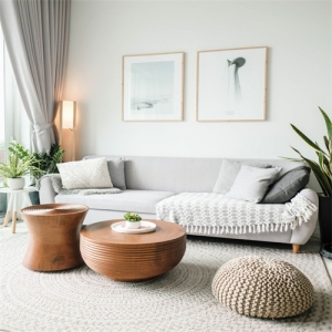 Living room household sm